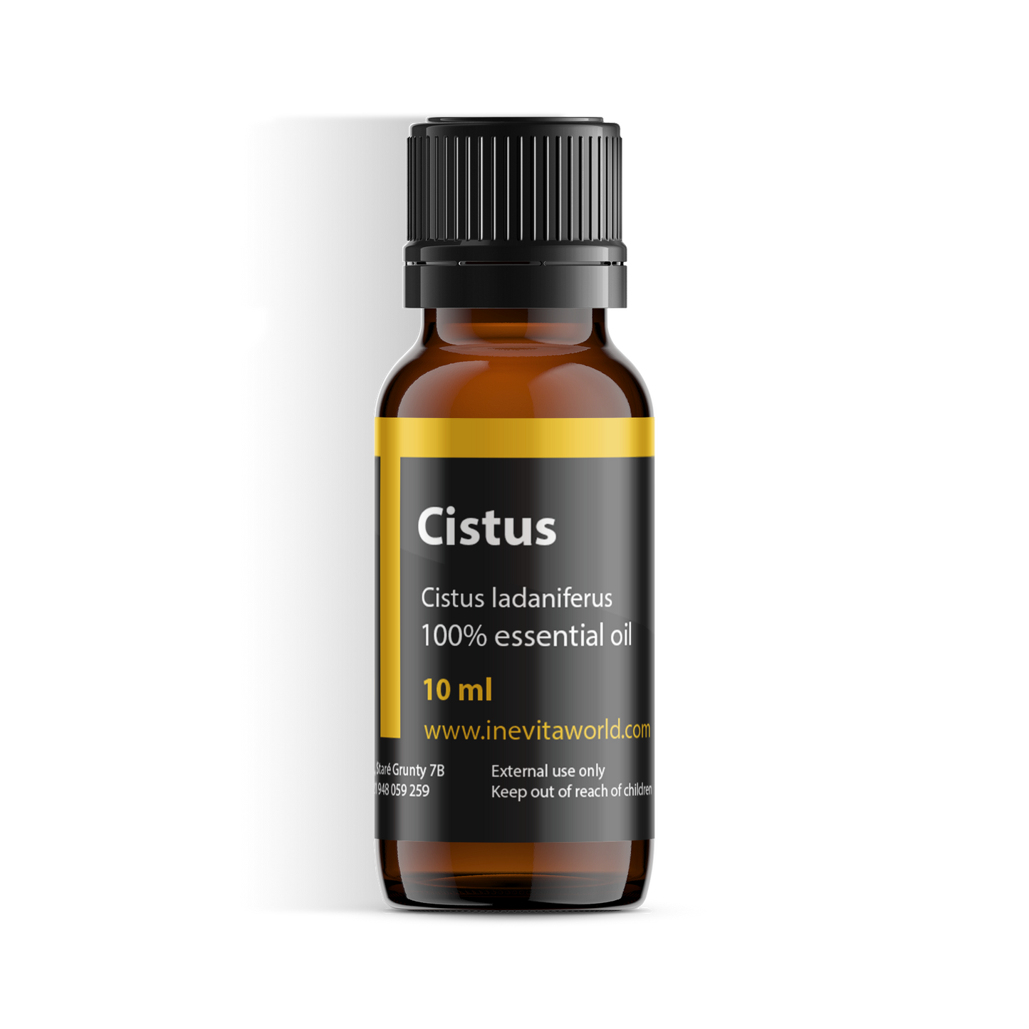 Cistus