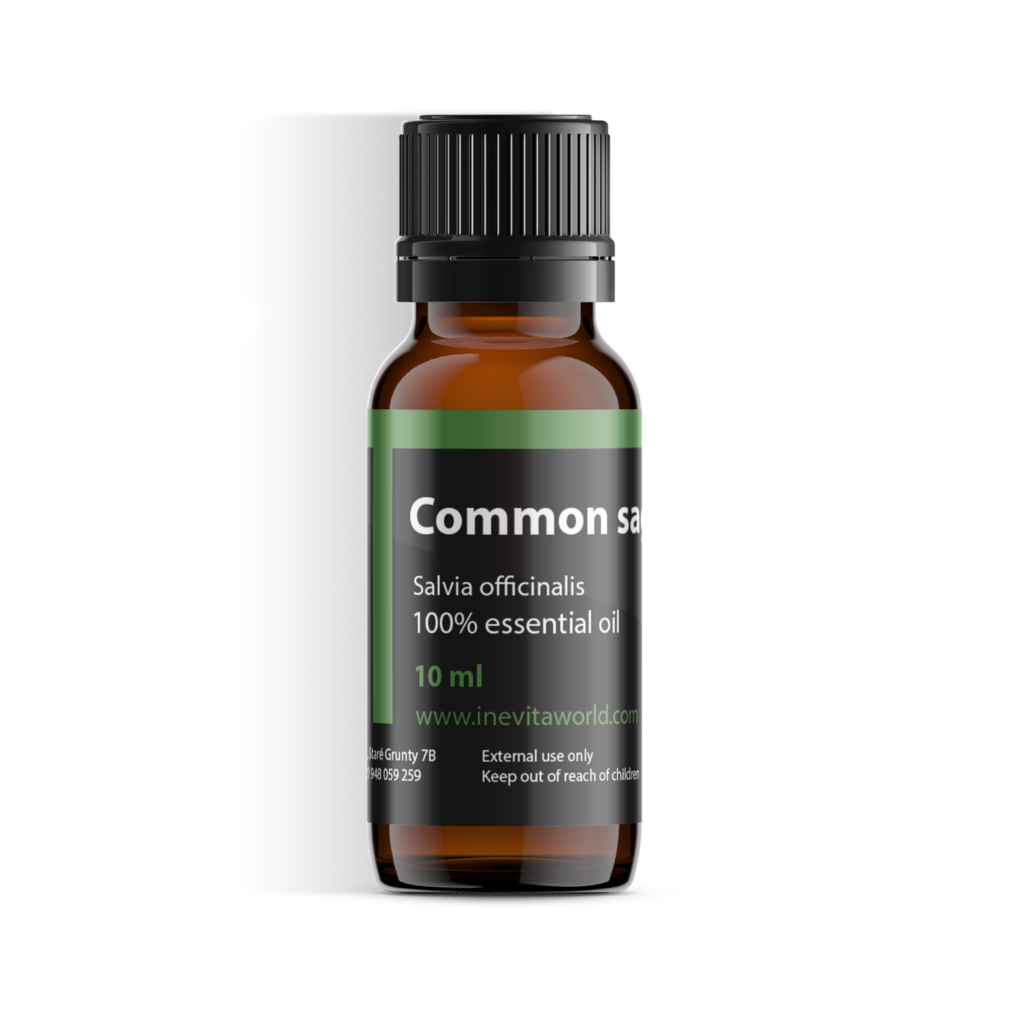 Common sage