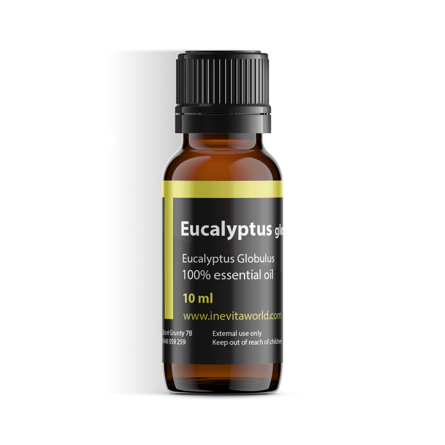 Eucalyptus Globulus