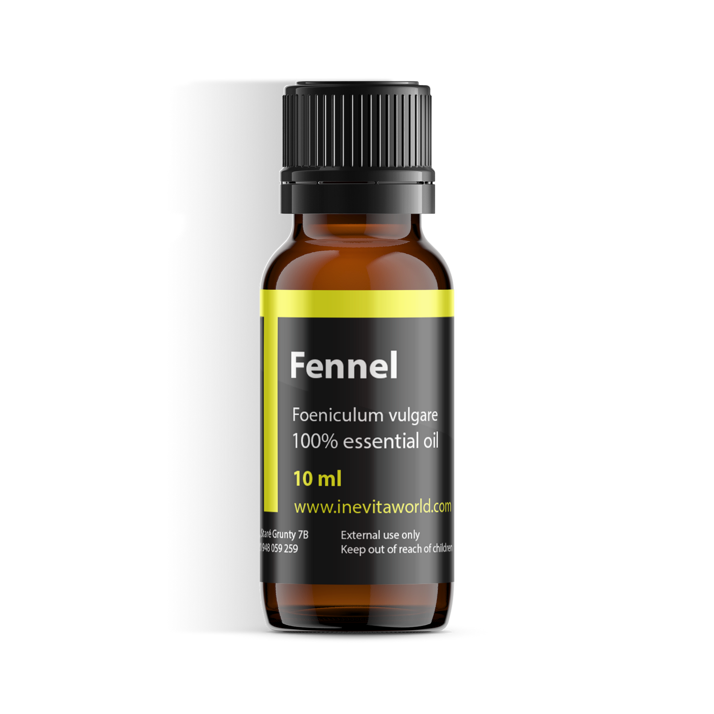 Fennel
