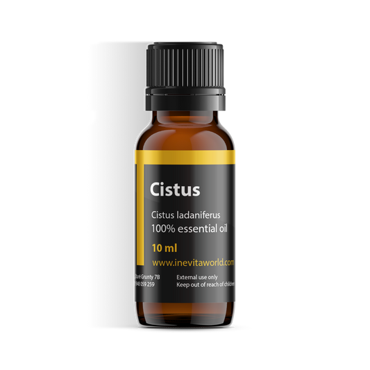 Cistus
