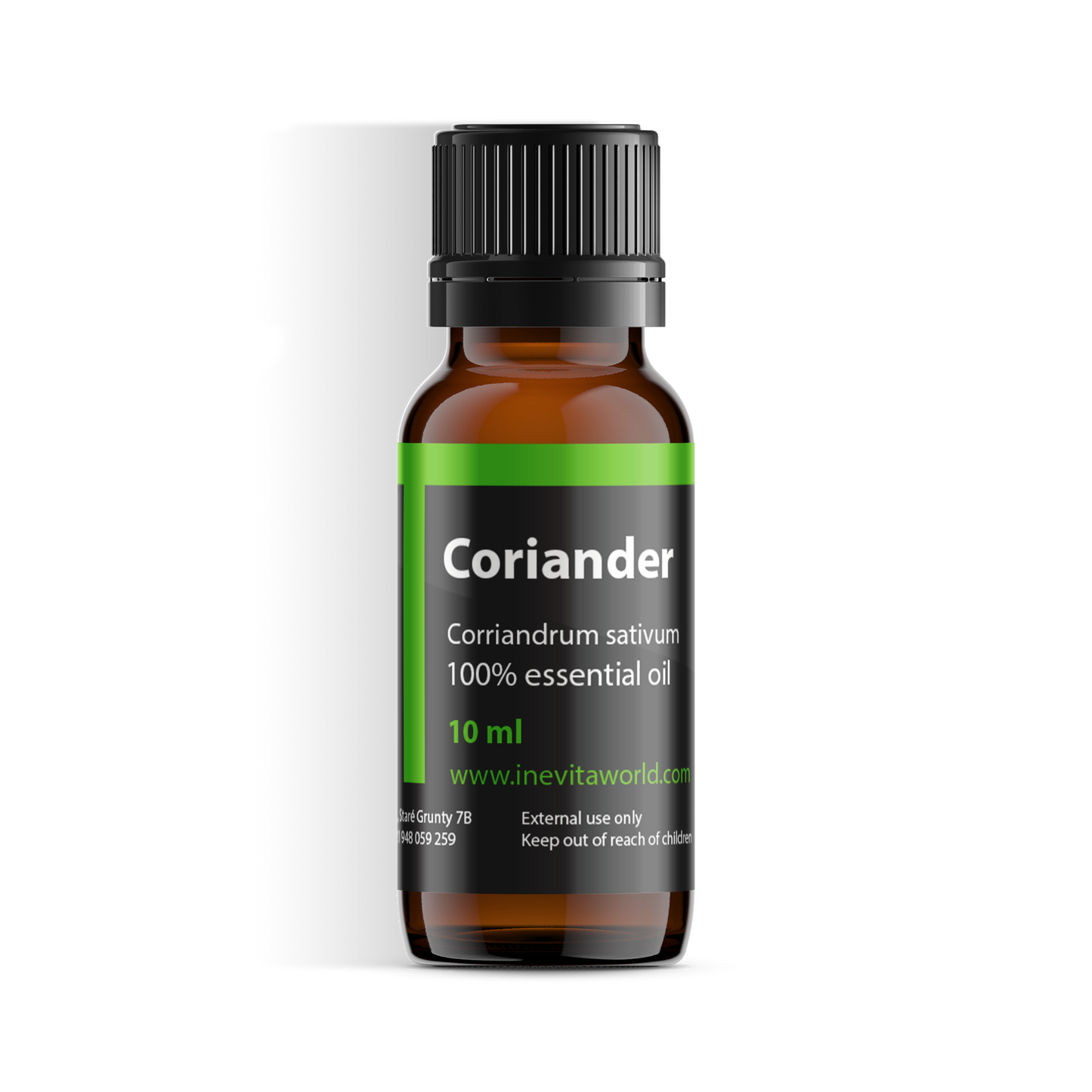 Coriander