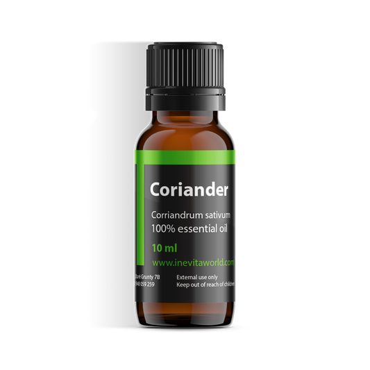 Coriander