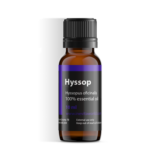 Hyssop Decumbens