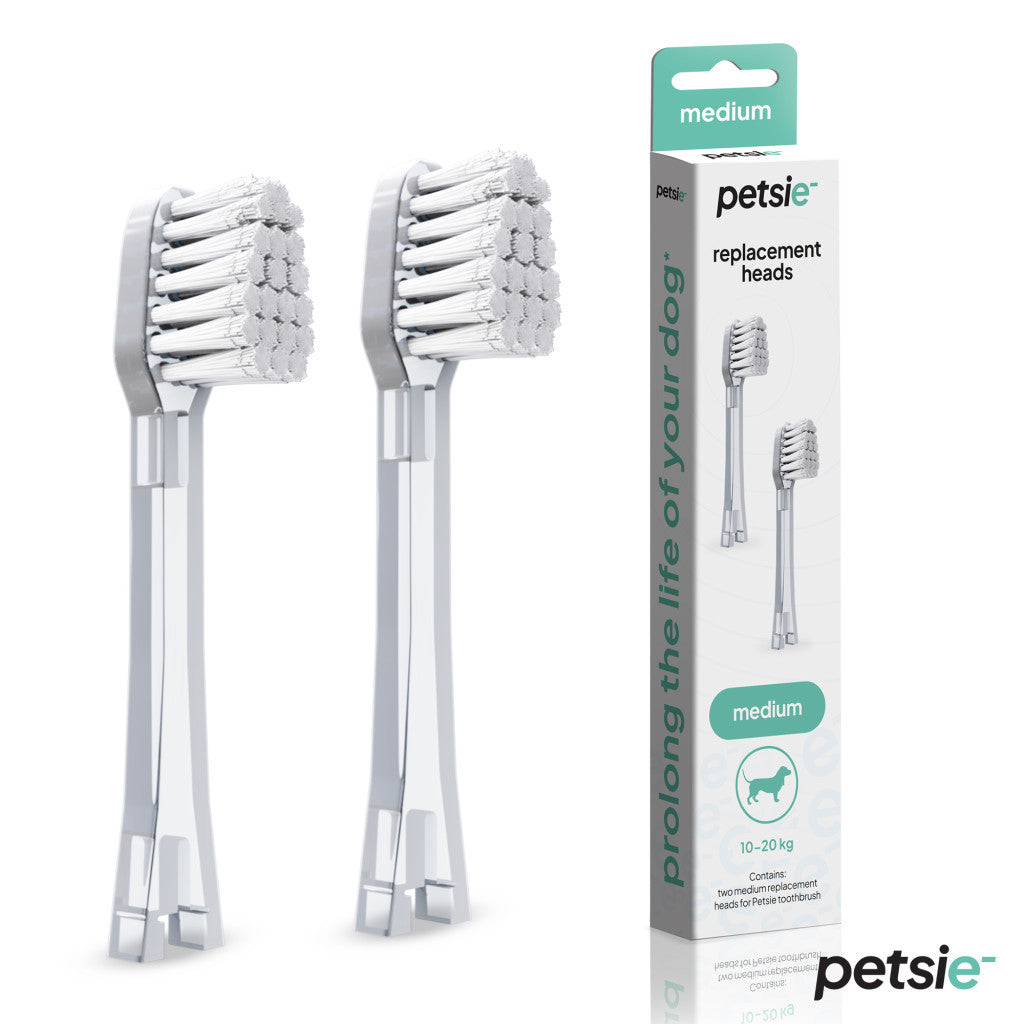 2 replacement heads for Petsie dog toothbrush (size M  10-20 kg)