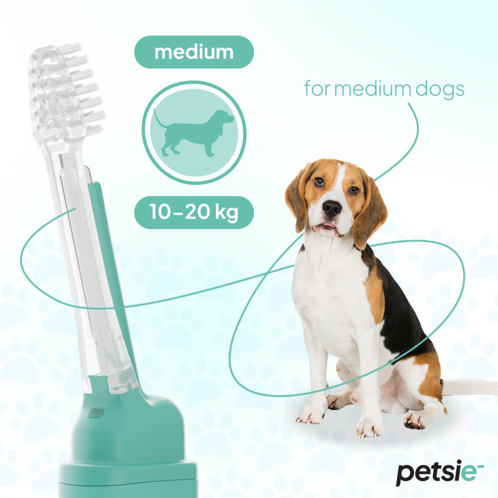 2 replacement heads for Petsie dog toothbrush (size M  10-20 kg)-1