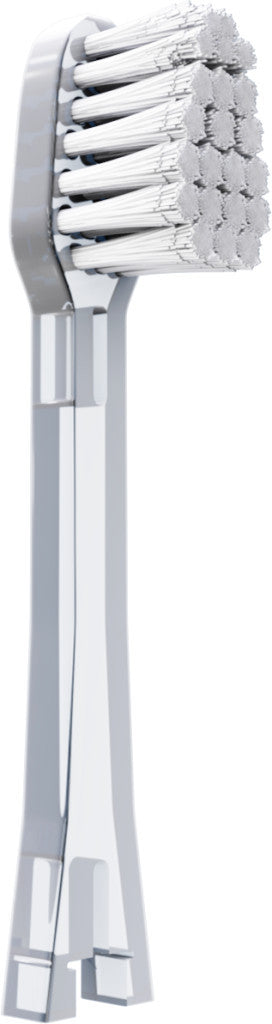 2 replacement heads for Petsie dog toothbrush (size M  10-20 kg)-2